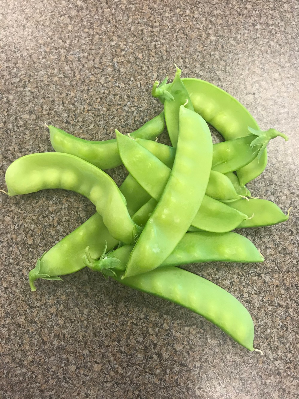 3146DBF2-57CC-4A7F-8AB4-A89C48FB43DA