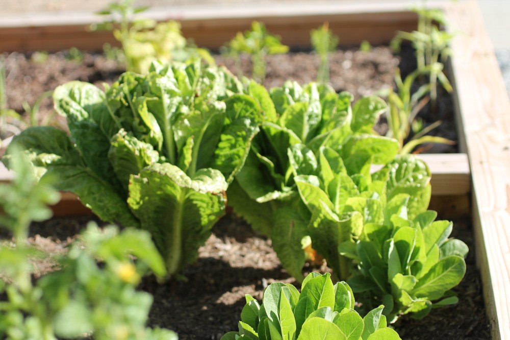 401245C4-9F0E-4AC3-AD0B-5EA1CCF7DA62