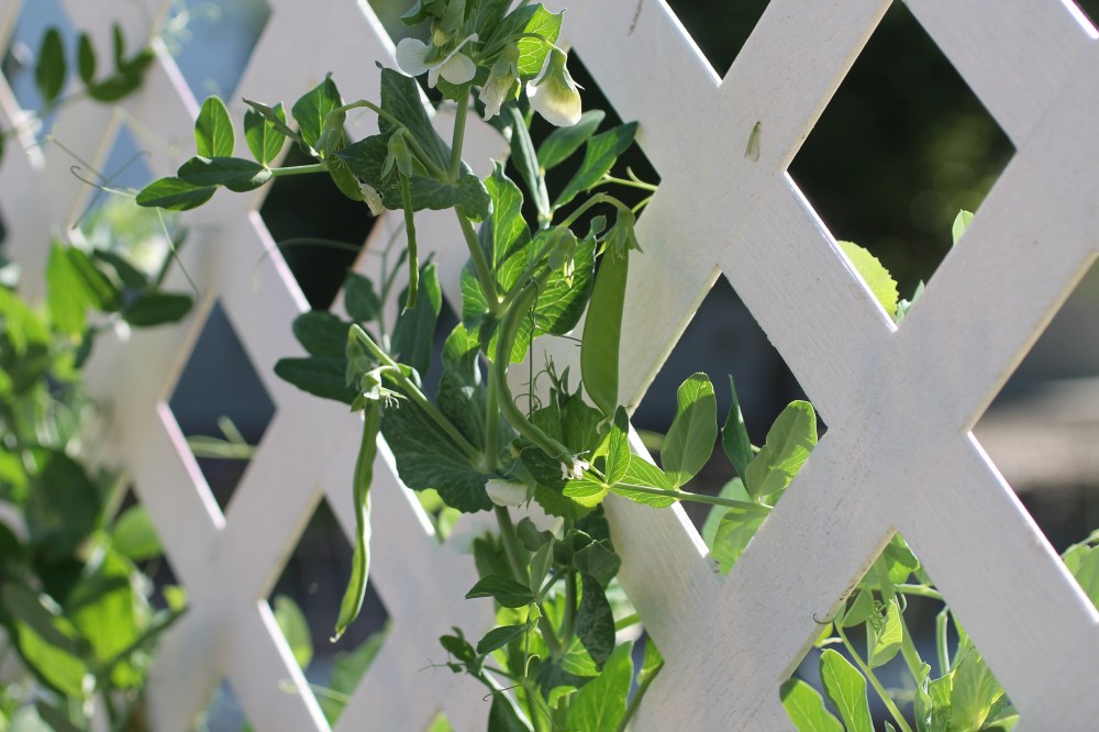 53BB9E6B-8CCE-46CA-B42A-2D789BE5D2AA