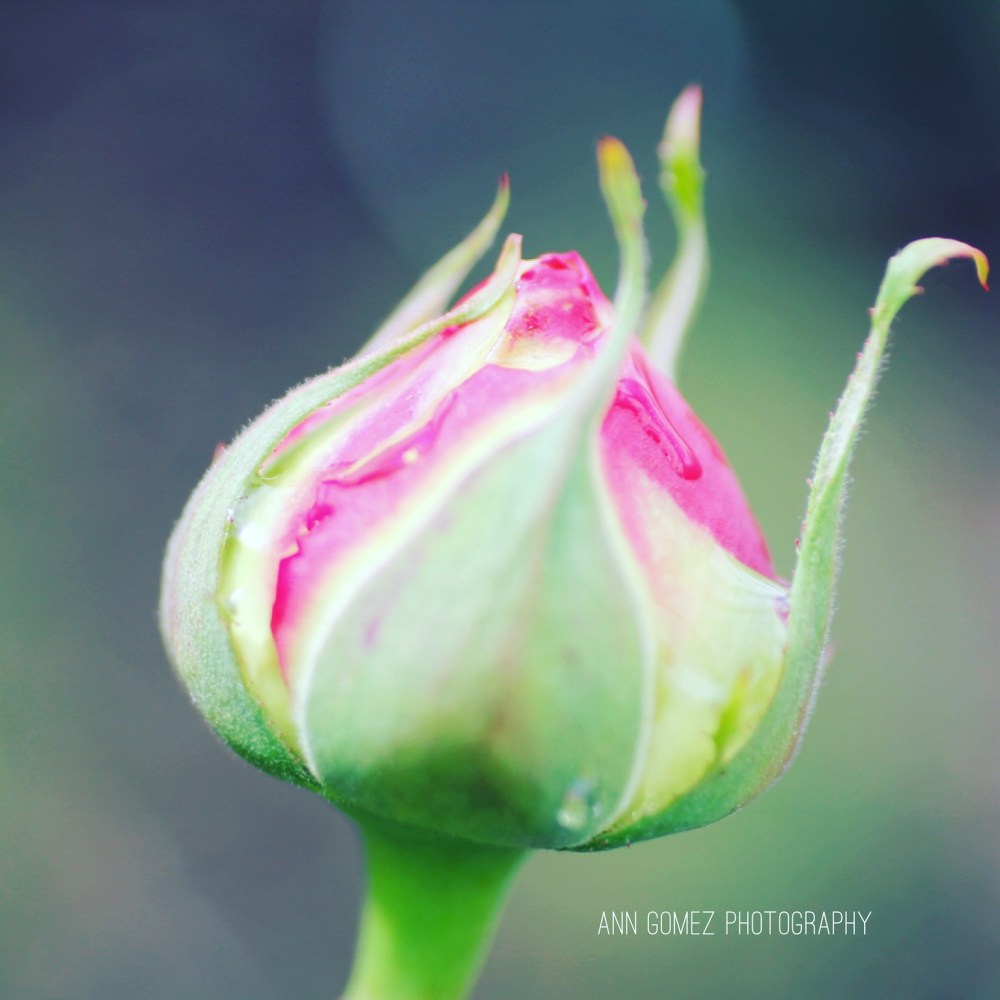 9518B21F-4B1F-4E32-9336-61DB2F3519F0