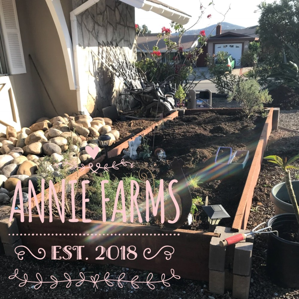 DC8643F9-6E72-4200-AA0D-5203A26CBACC