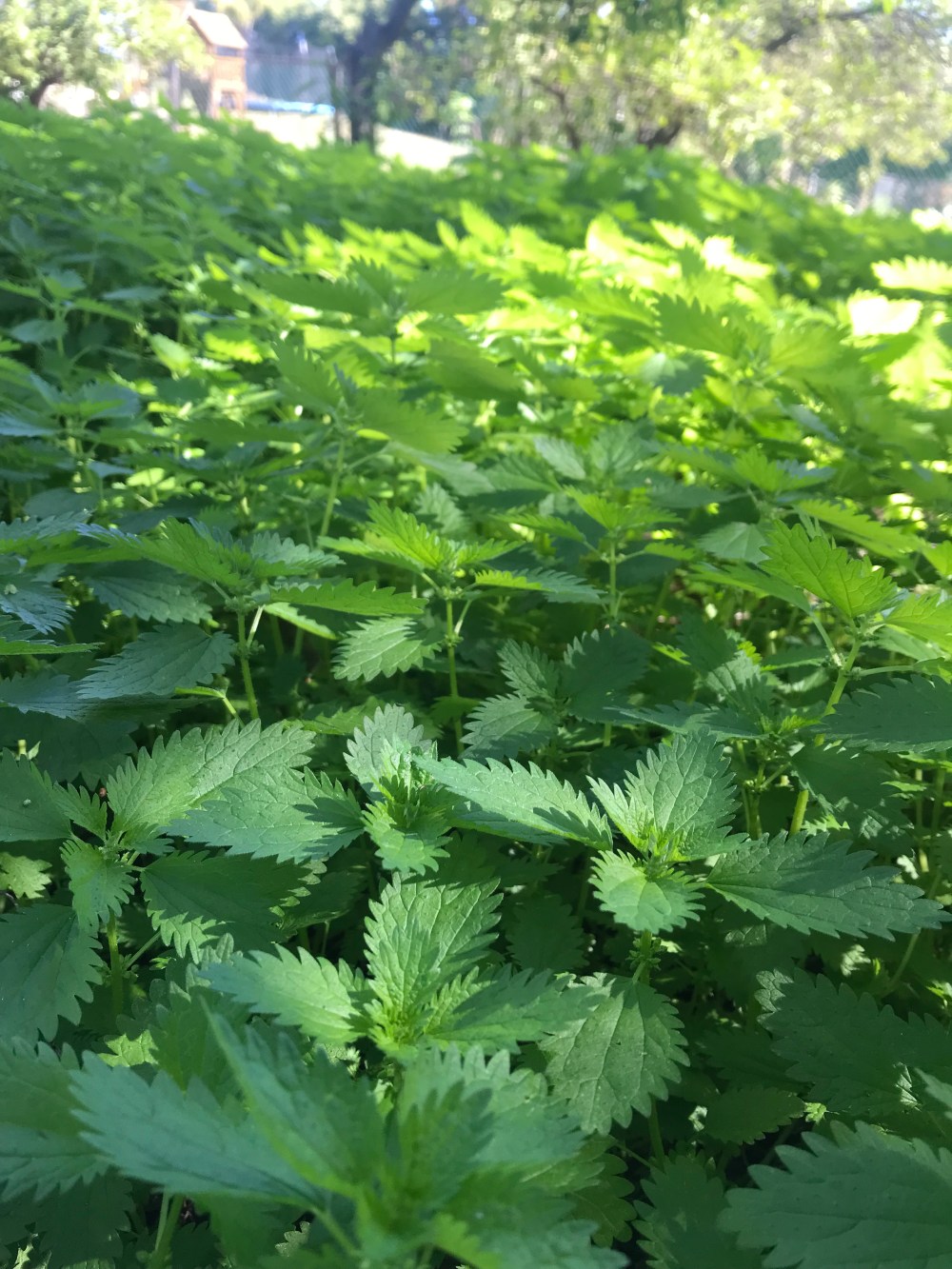 0826e54c-130f-4c01-9414-570b5319dbd3