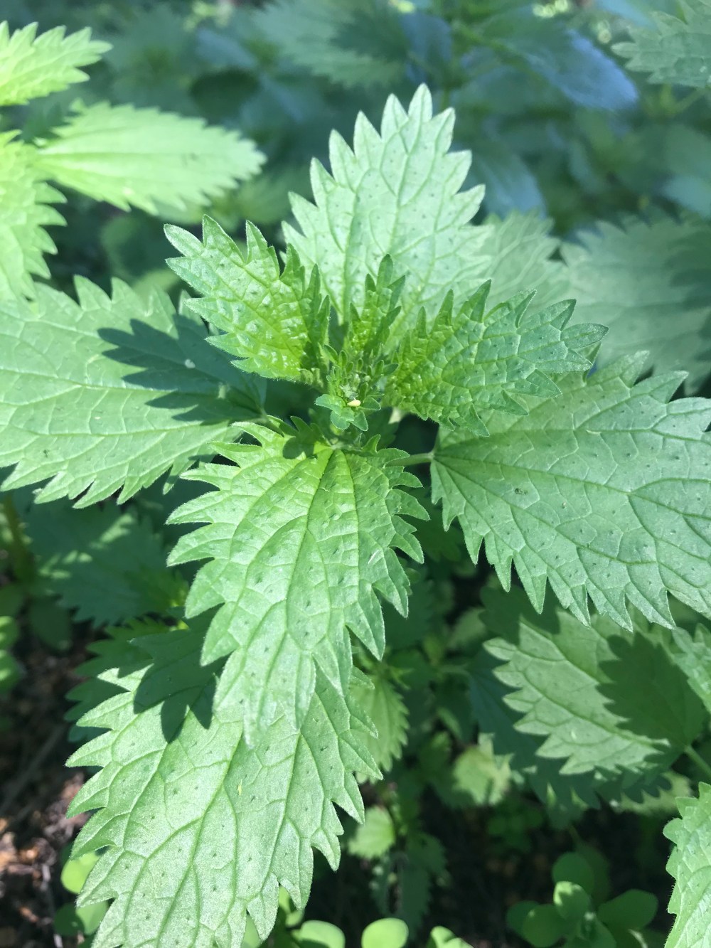 30a27ecb-9355-4add-ba0c-d8bd72be09a1