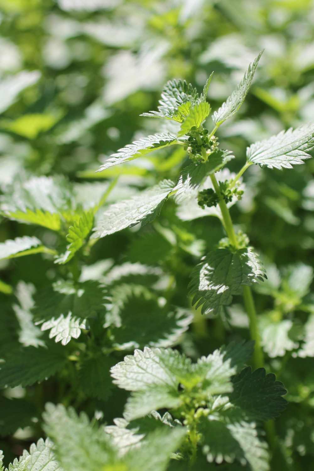 3e880492-76e7-4704-940f-6bb5f1849718