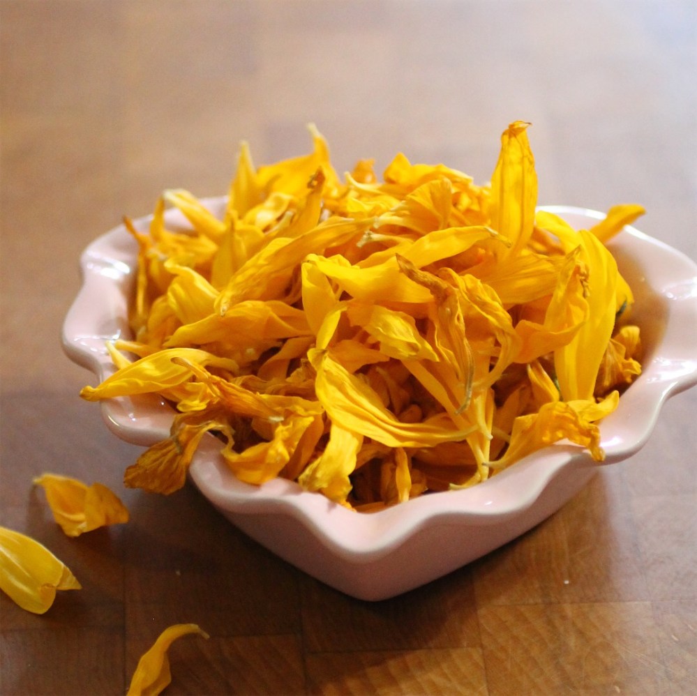 4412b308-b8a2-4206-b961-95924c9a50ec