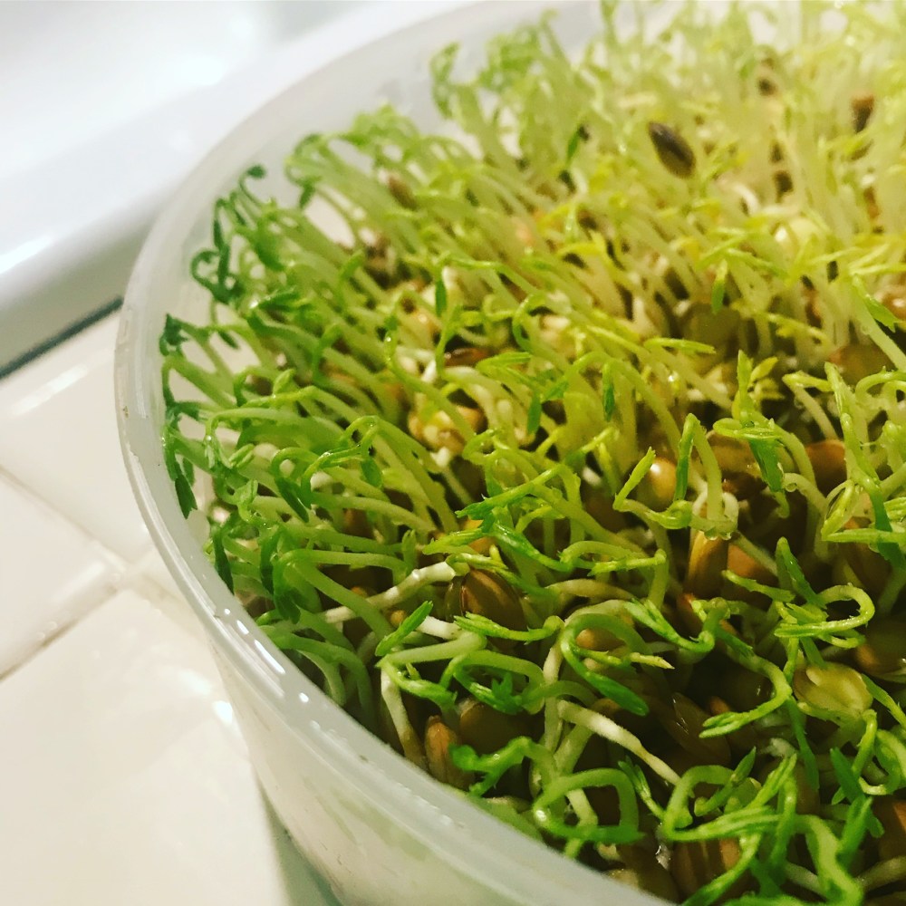 a8f3750b-1a51-4483-b711-7f66d6380ac6