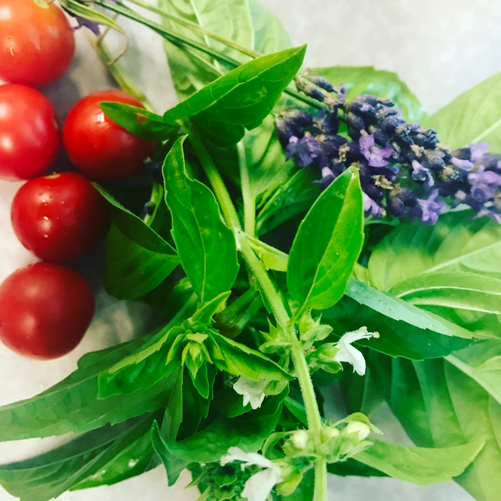 bef480b6-ca3b-47cb-ba8d-7dba85929724