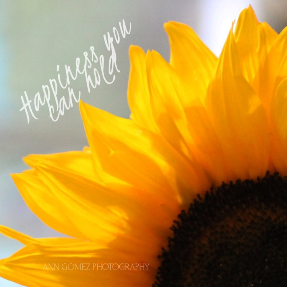 c21bd2ab-acd0-48d0-b498-c14c6097c44a