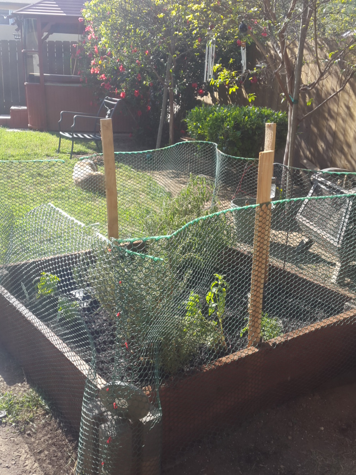 e20539a3-991d-4ce5-8772-9afd5dd1d97b