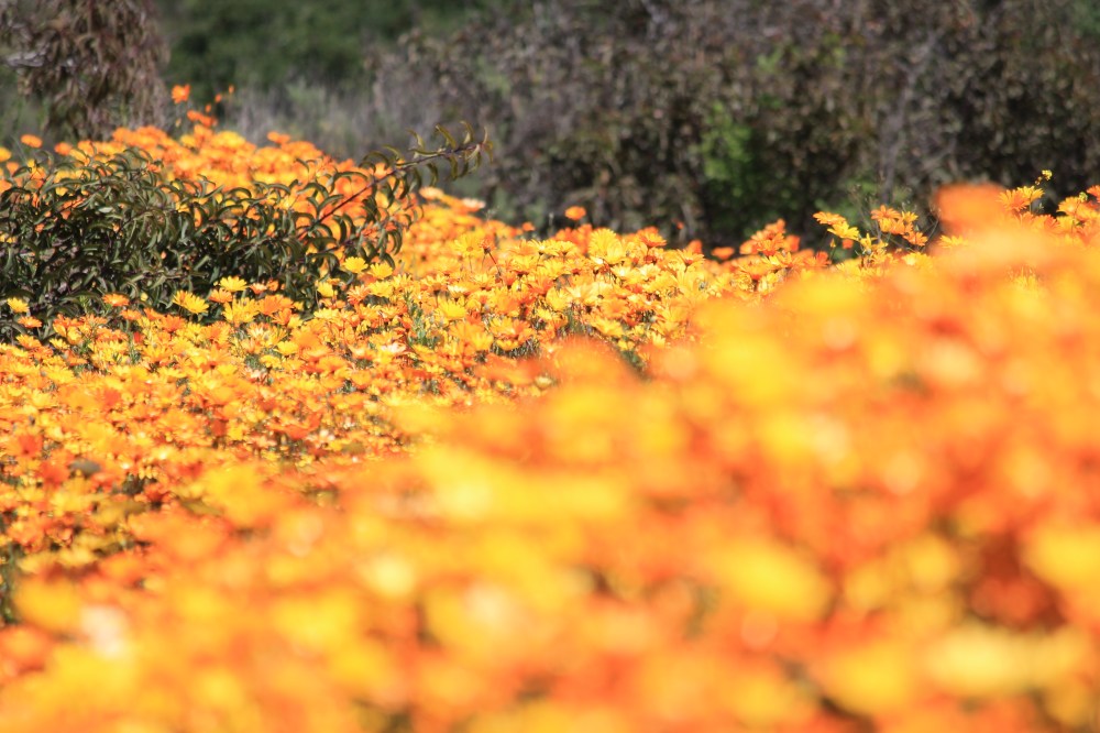 13D25D87-9121-4187-8E9A-8AB1B98C24A4