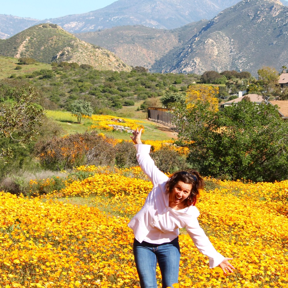 2E1E3517-2574-4B58-A609-319D6926BA6F