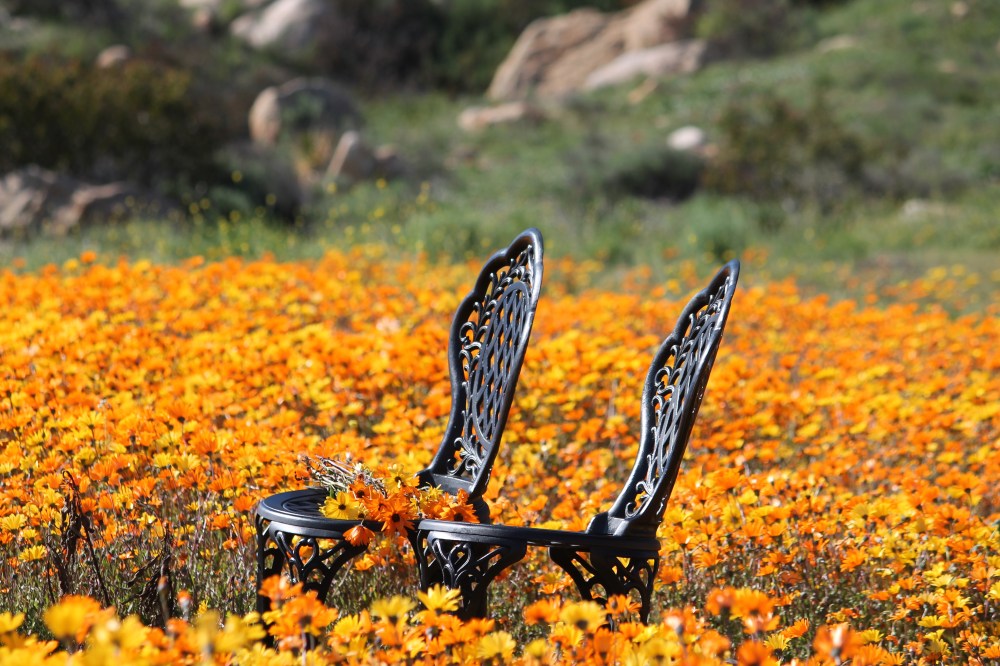 C4A22F22-55A8-4620-A66B-A5A40CA0AA34