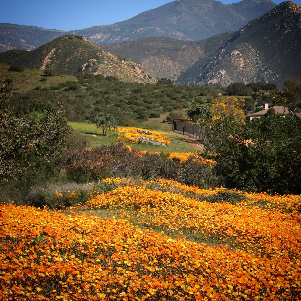 EA1DC06E-C2ED-41D5-8270-793DA0BF9D7F