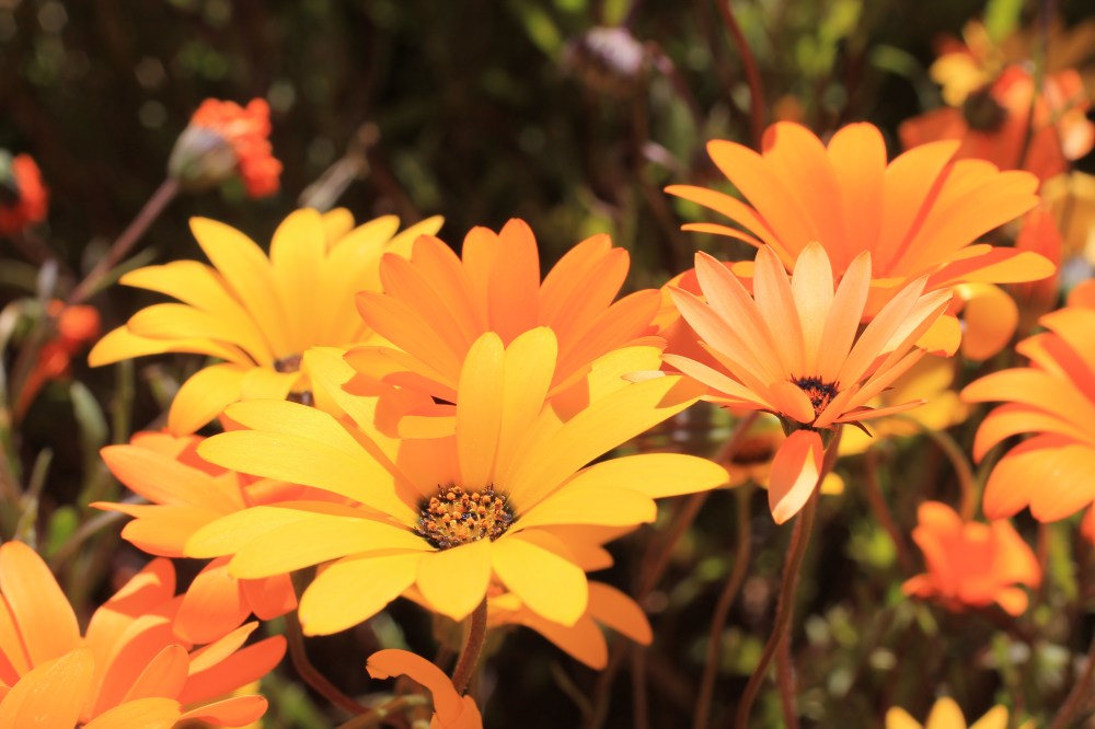 EBE8F997-4499-488C-9F91-8706CB93B06F