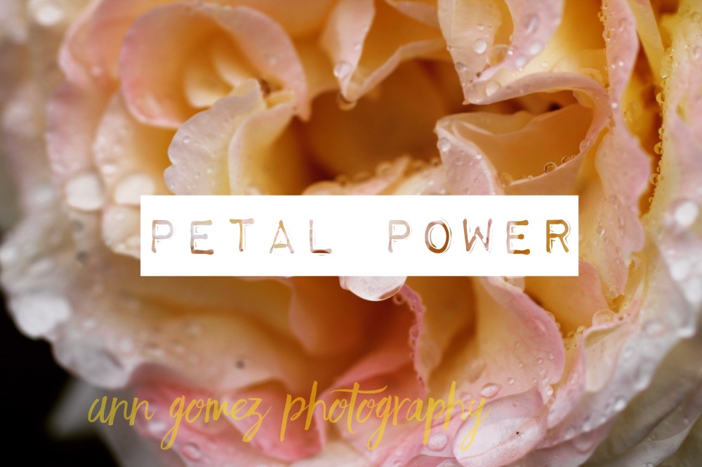 1EB92BDB-5484-4CE9-9911-90E817AEB005