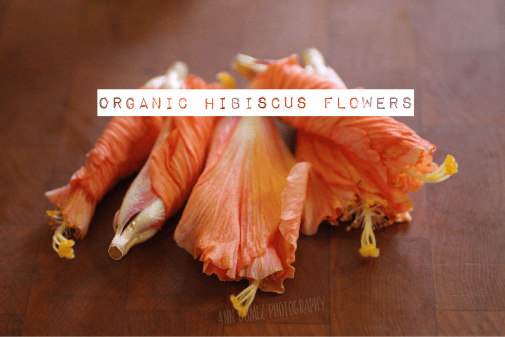 2257C00A-ED0C-46B1-81C9-C3063BF3E076