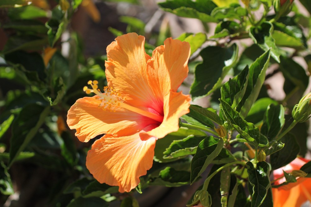 3004C97F-A6B1-4C4D-B85F-DC16D9977AF7