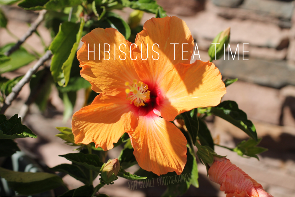 89C6BE11-FCA4-4617-9A1B-5484A1B576A5