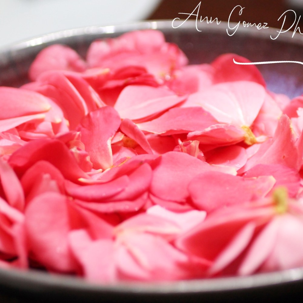 C49FFC37-80A5-4736-BAC2-2A3904CB4233