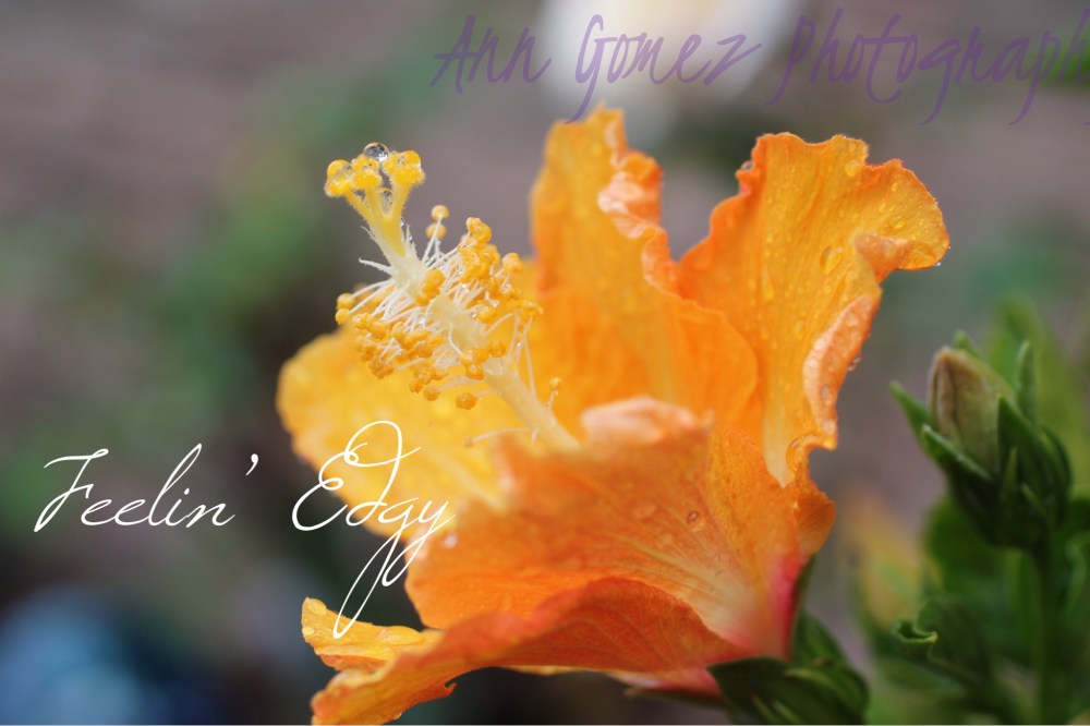 F070D6DC-E43F-47EE-966B-0FC2F73BD4A5