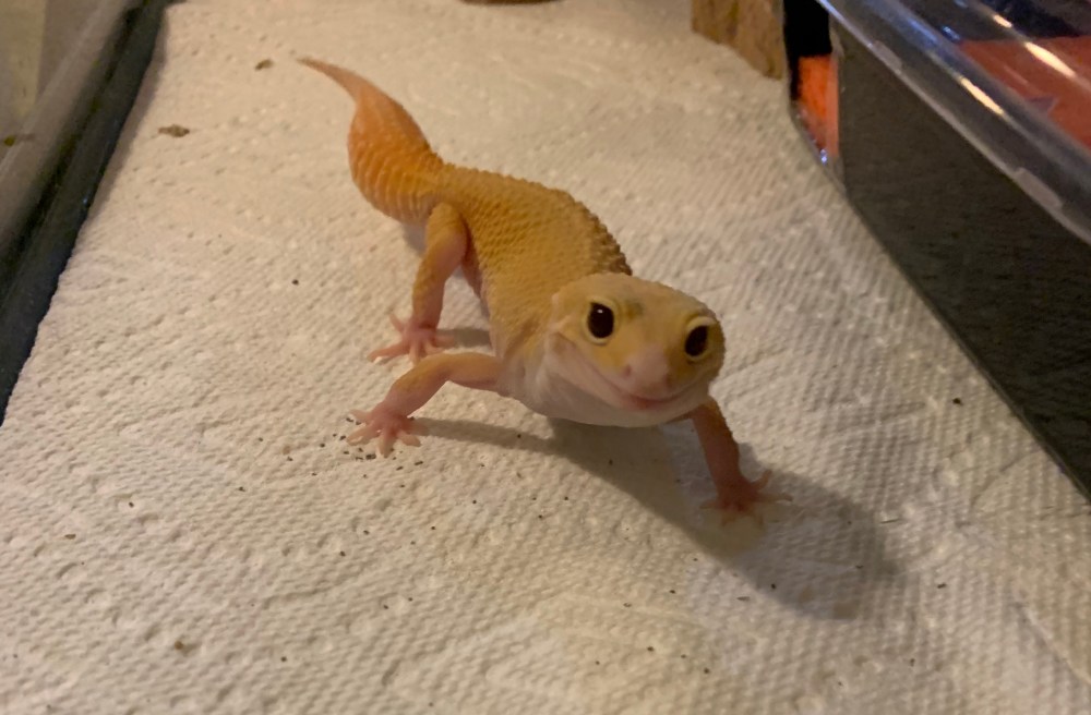 55B19BB5-9457-4EBA-928E-A2F1642A6077