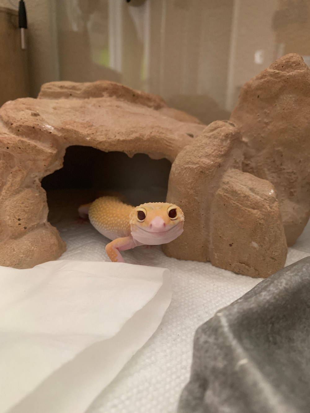 74ABA3B5-A6A4-49D9-AADB-A6C61803CEBB