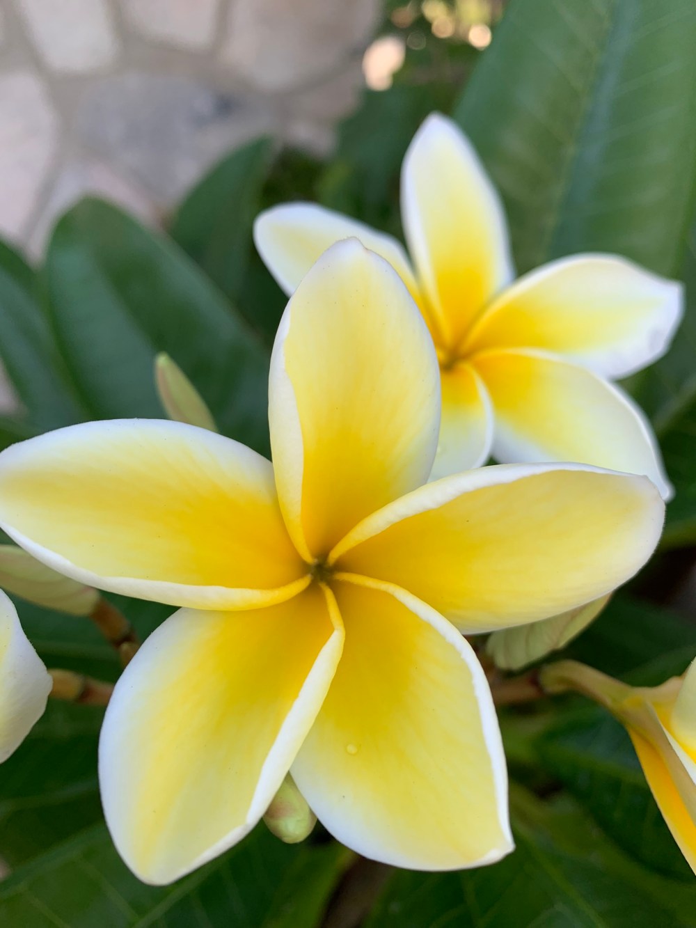 5B765F38-BE6A-4FD3-907D-C01B61E75F30