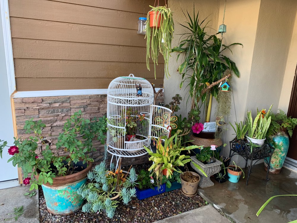 F1554DA3-F0F5-4B8B-B368-4848850B8CF7